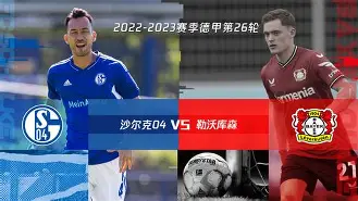 凤凰娱乐下载-沙尔克主帅批评球队表现，要求全队提升(沙尔克主帅批评球队表现,要求全队提升能力)